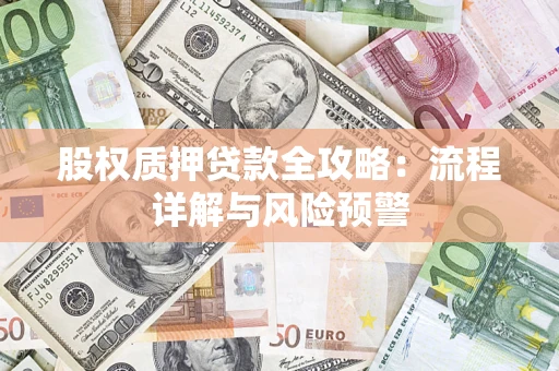 北京股权质押贷款全攻略：流程详解与风险预警