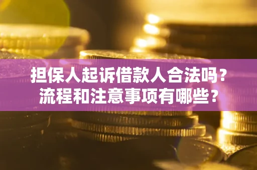 北京担保人起诉借款人合法吗？流程和注意事项有哪些？