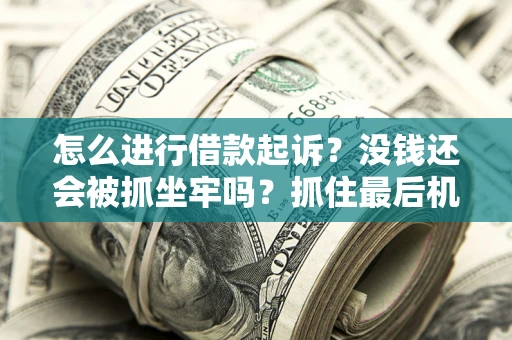 北京怎么进行借款起诉？没钱还会被抓坐牢吗？抓住最后机会！