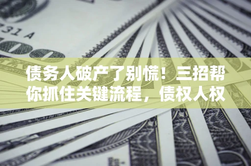 北京债务人破产了别慌！三招帮你抓住关键流程，债权人权益不再缩水