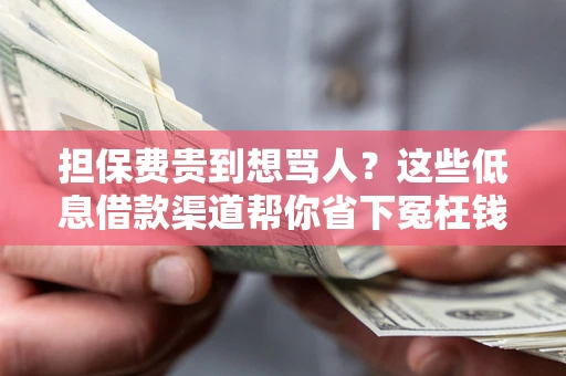 北京担保费贵到想骂人？这些低息借款渠道帮你省下冤枉钱