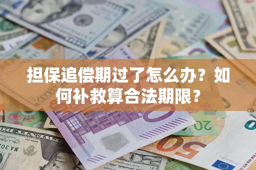 北京担保追偿期过了怎么办？如何补救算合法期限？