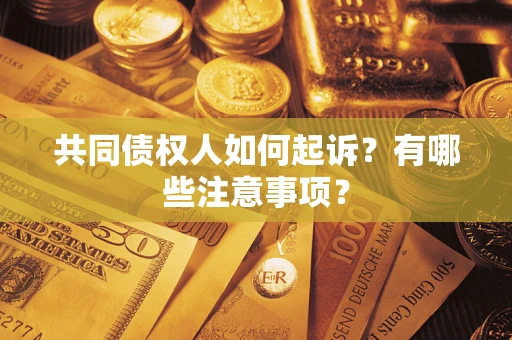 北京共同债权人如何起诉？有哪些注意事项？