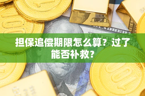 北京担保追偿期限怎么算？过了能否补救？